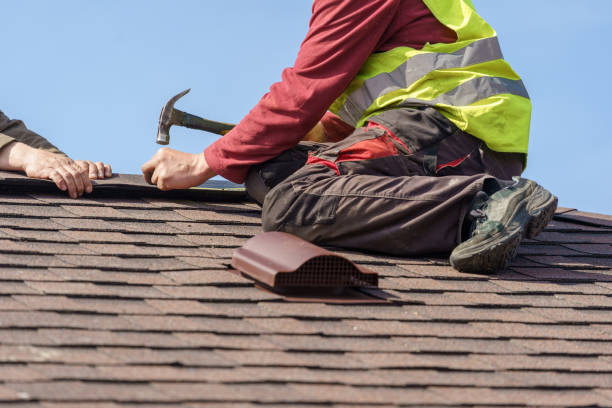 Best Gutter Installation and Roofing  in Wolfhurst, OH