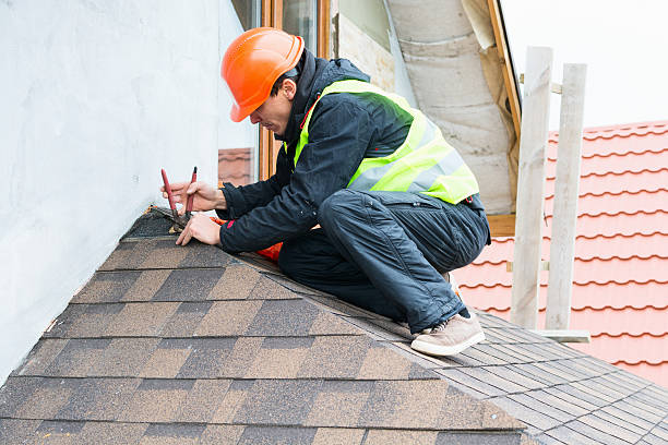 Best Roof Gutter Cleaning  in Wolfhurst, OH